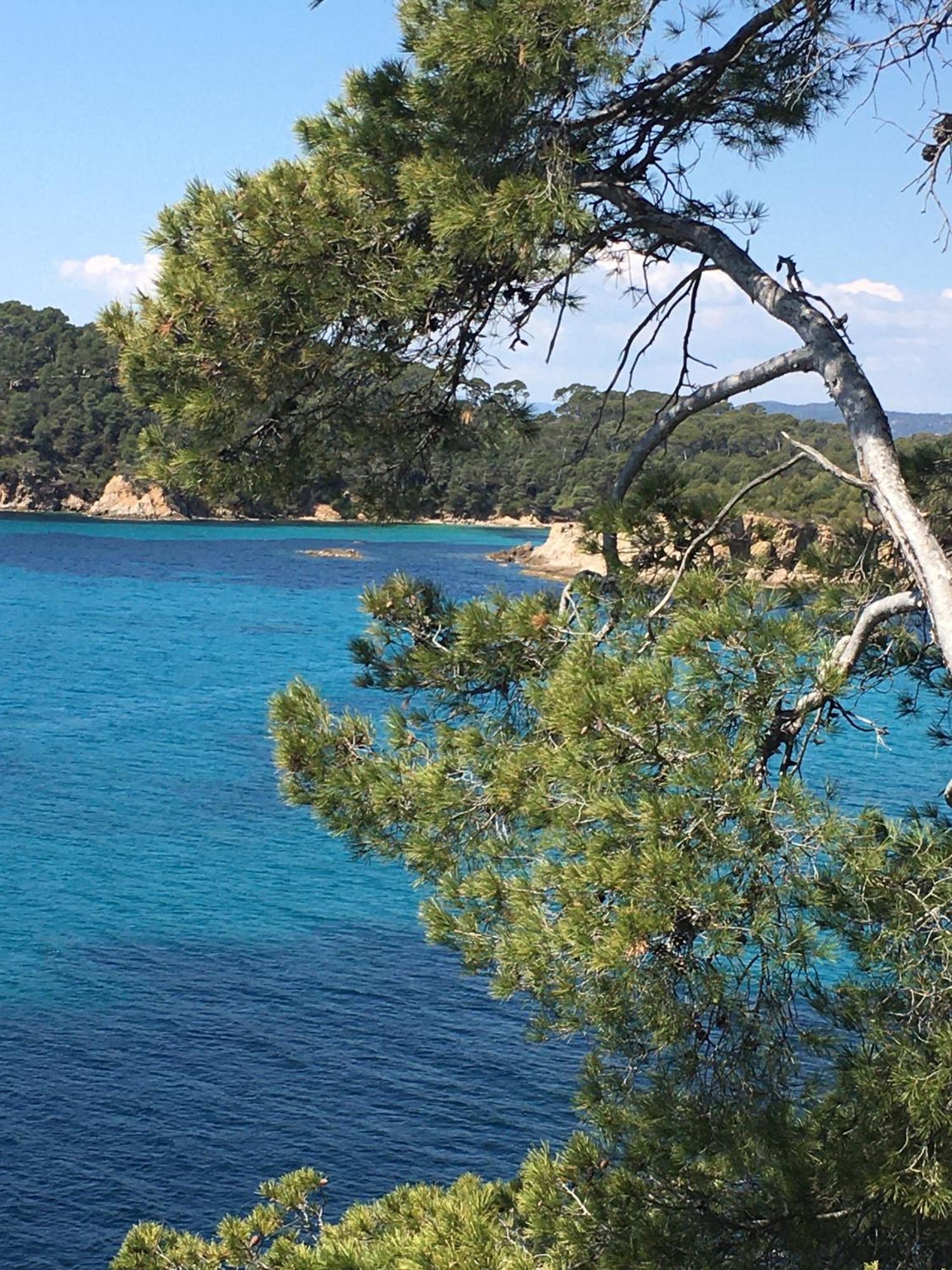 Appartement T3 Lumineux Traversant Totalement Neuf En Face De La Plage Front De Mer Vue Sur Les Iles Vue Mer Panoramique Assuree Residence De La Plage Centre Ville Du Lavandou 3Eme Etage Avec Ascenseur Appartement T3 Ле-Лаванду Екстер'єр фото